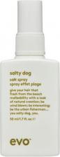 Спрей Evo Текстурирующий спрей для волос Salty Dog Salt Spray, слабая фиксация, 50 г, 50 мл