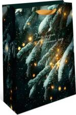 Упаковочные материалы Арт и Дизайн Подарочный пакет 32x26 см в ассортименте