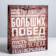 Упаковочные материалы Дарите Счастье Пакет ламинированный вертикальный "Больших побед", MS 18 x 23 x 8 см