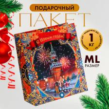 Упаковочные материалы Дарите Счастье Пакет ламинированный вертикальный "Красная площадь", ML 23 x 27 x 11,5 см