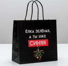 Упаковочные материалы Дарите Счастье Пакет подарочный "А ты уже синяя", 22 x 22 x 11 см