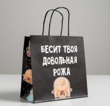 Упаковочные материалы Дарите Счастье Пакет подарочный "Бесит", 22 х 22 х 11 см