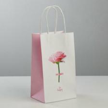 Упаковочные материалы Дарите Счастье Пакет подарочный крафт "Be Happy", 12 x 21 x 9 см