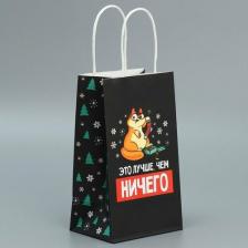 Упаковочные материалы Дарите Счастье Пакет подарочный крафтовый "Ничего", 12 x 21 x 9 см