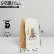 Упаковочные материалы Дарите Счастье Пакет подарочный крафтовый "Сказка", 12 х 21 х 9 см