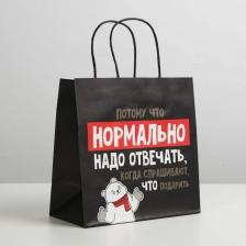 Упаковочные материалы Дарите Счастье Пакет подарочный "Нормально надо отвечать", 22 x 22 x 11 см