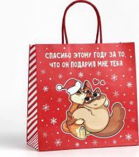 Упаковочные материалы Дарите Счастье Пакет подарочный новогодний "Спасибо этому году", 22 х 22 х 11 см