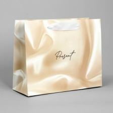 Упаковочные материалы Дарите Счастье Пакет подарочный "Present", 22 х 17.5 х 8 см, 2 штуки