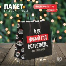 Упаковочные материалы Дарите Счастье Пакет подарочный "Так тебе и надо", 22 x 22 x 11 см 6249075