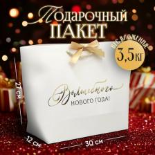 Упаковочные материалы Дарите Счастье Пакет подарочный "Волшебство", 30 х 27.5 х 12 см, Новый год