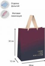 Упаковочные материалы Meshu Пакет подарочный 26*32*12см "Duotone. Wine gradient", отд. фольгой, матовая ламинация