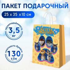 Упаковочные материалы ND Play Пакет подарочный Коты Эрмитажа "Лапки-медальоны", 250*350*100 мм