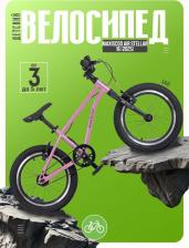 Велосипед Maxiscoo AIR STELLAR 16 (2025)