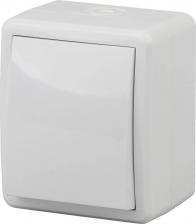 Выключатель Эра Выключатель 11-1401-01 IP54 10АХ-250В ОУ