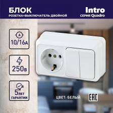 Выключатель Intro 2-702-01 Блок розетка с выключателем Quadro 2-702-01 двойным горизонтальный 10А-250В, IP20, ОУ, белый, цена за 1 шт
