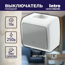 Выключатель Intro 5-103-03 Переключатель Atlantic 5-103-03 10А-250В, IP54, открытой установки, серый, цена за 1 шт