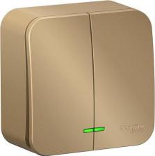 Выключатель Systeme Electric SE Blanca наруж Титан Выключатель 2-клавишный с подсветкой 10А,250B, изолир. пластина