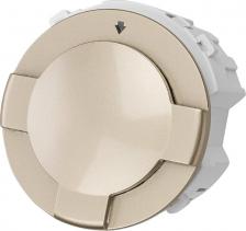 Выключатель TDM Electric Выключатель карточный 250В 8кВт шампань, Байкал, цена за 1 шт