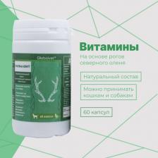 Витамины для собак Globalvet Витамины Глобалвит для защиты костей, суставов, красоты шерсти и повышения иммунитета для собак и кошек, 60 капсул