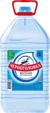 Вода Черноголовка Вода питьевая без газа, 5 л