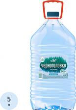 Вода Черноголовка Вода Вкусная питьевая негазированная 5л
