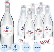 Вода Tassay Вода питьевая негазированная 0,75 л (6 штук в упаковке)