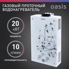 Водонагреватель Oasis Glass 20 ZG [проточный, газовый, 10 л, 10 л/мин]