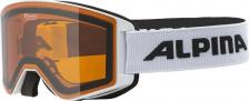Защитная экипировка Alpina Очки Горнолыжные 2022-23 Narkoja White