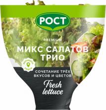 Зелень/салаты Рост Салат латук Трио в горшочке 150 г