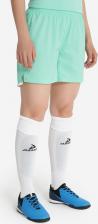 Женские спортивные шорты Demix Шорты женские Pace, Зеленый 4680577289785