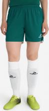Женские спортивные шорты Demix Шорты женские Pace, Зеленый
