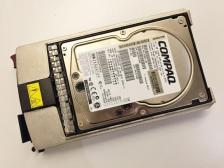 Жесткий диск HP BD009635C3