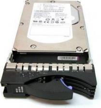 Жесткий диск IBM 49Y1871 – фото 1