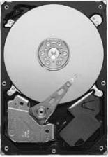 Жесткий диск Seagate ST31000322CS