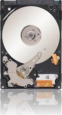 Жесткий диск Seagate ST9750420AS