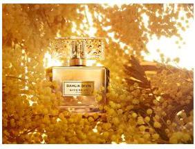 dahlia divin le nectar de parfum