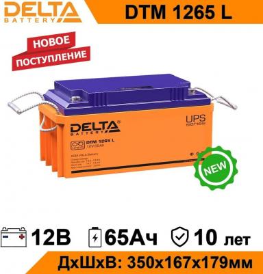 DTM-1265 L – фото 13