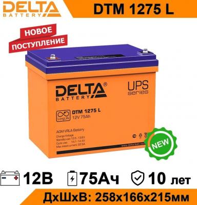 DTM-1275 L – фото 11