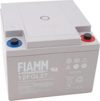 12 FGL27 – фото 2