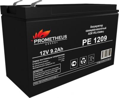 PE 1209 – фото 3