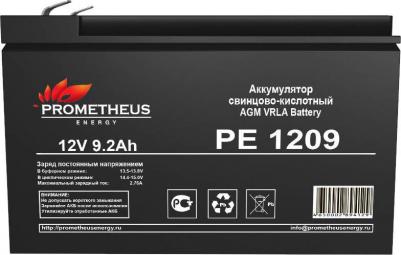 PE 1209 – фото 8