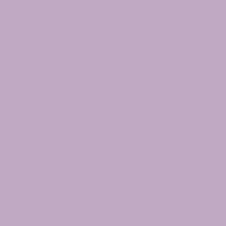 Щетка для волос Small Superbrush Lilac – фото 2