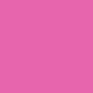 Щетка для волос Small Superbrush Pink – фото 2
