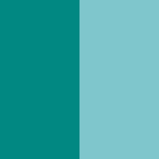 Расческа Compact Styler Frosted Teal Chrome – фото 1