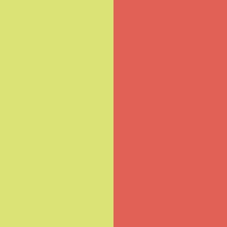 Расческа The Original Salmon Pink & Hyper Yellow – фото 3