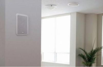 Aelite in Wall 255 Ci – фото 2