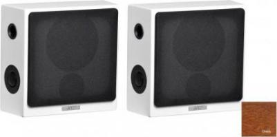 Cantius 112d – фото 5