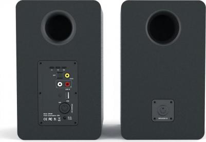 BS100 – фото 4