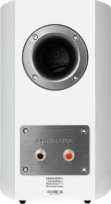 DS-501 – фото 3