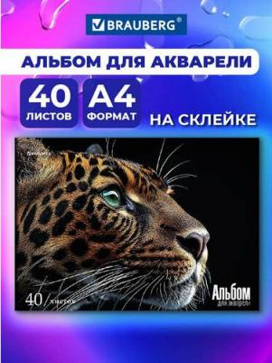 Альбом 107130, комплект 4 шт
